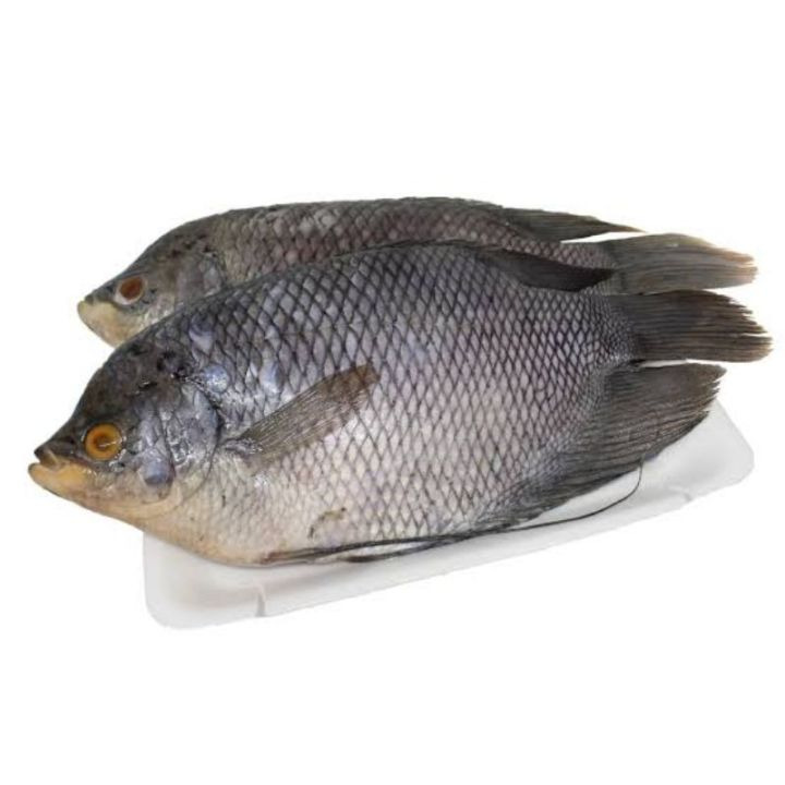 Ikan Gurame
